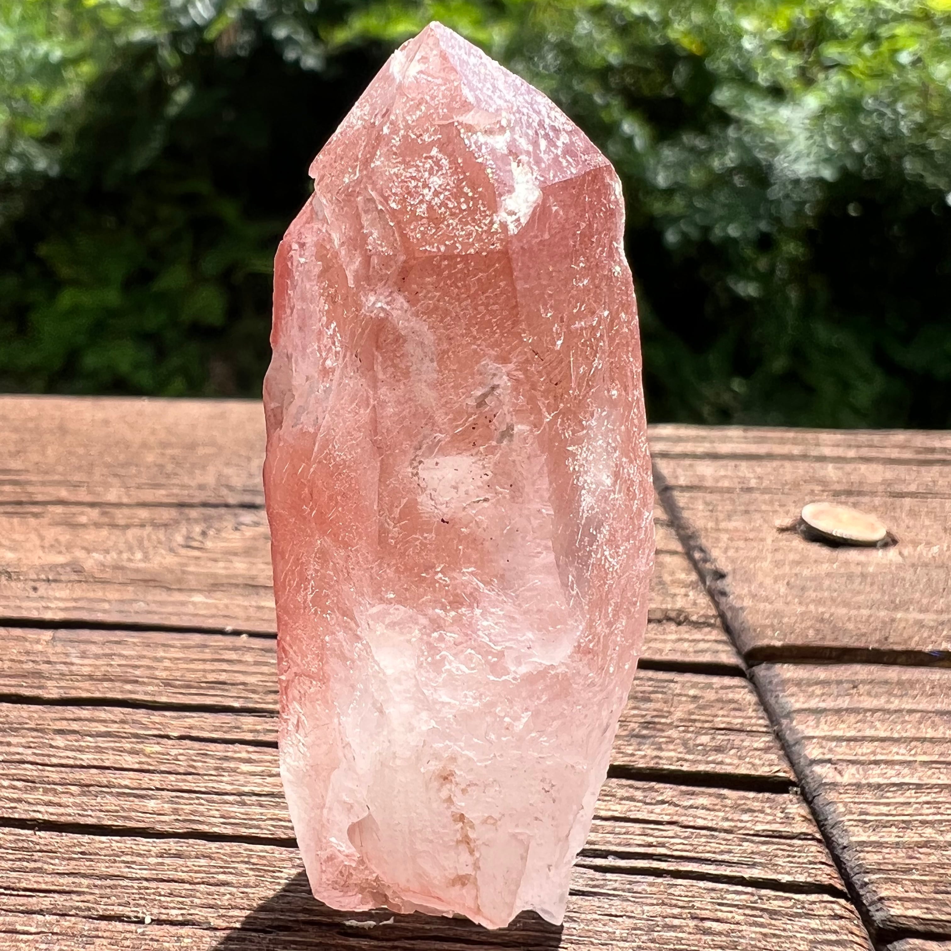 6.6kg26cmレムリアンシードコンゴ産恐竜紫アメジストクラスター