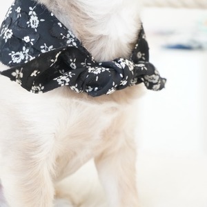 cool neckストール flower