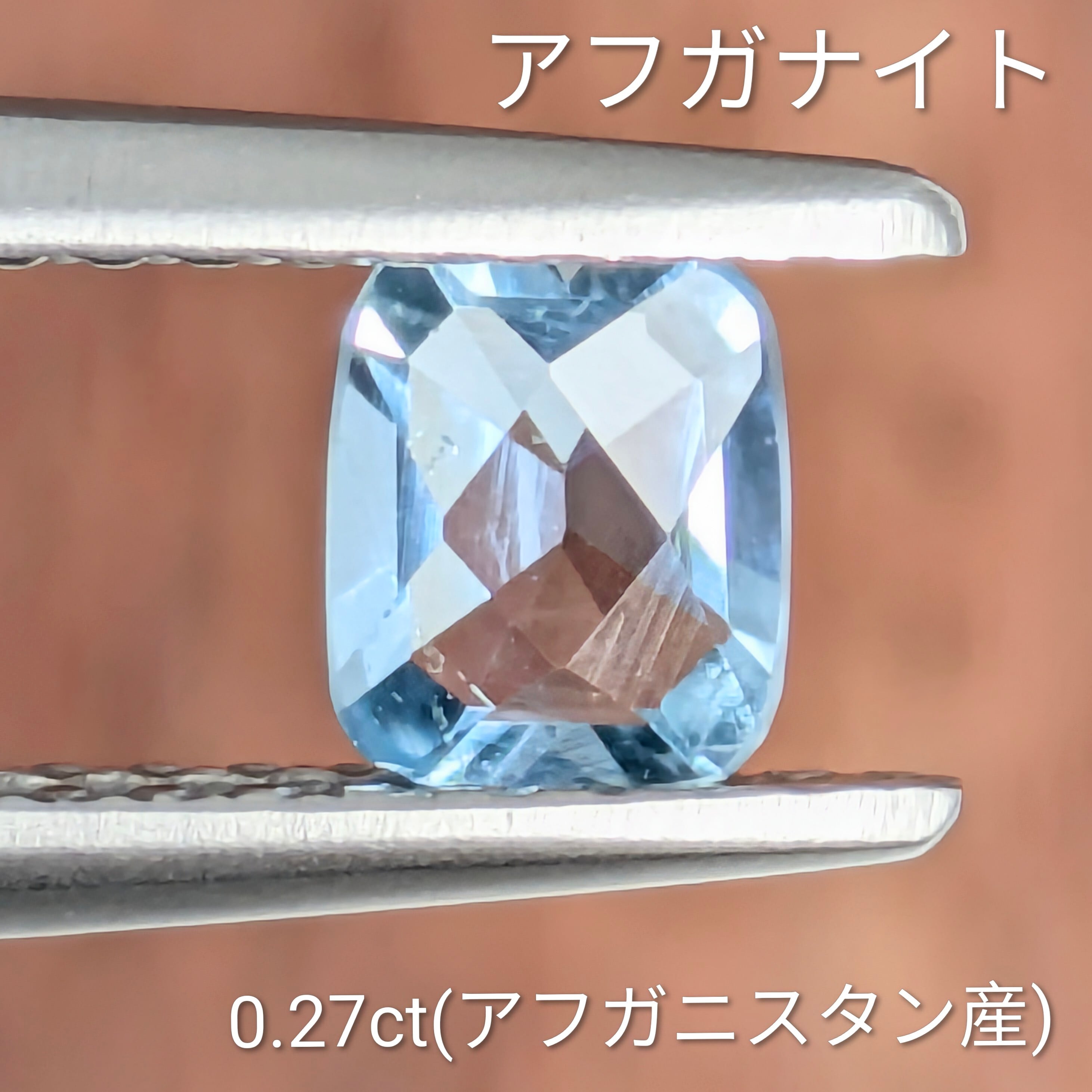 ルースケース (開閉式) | Gem's Subculture
