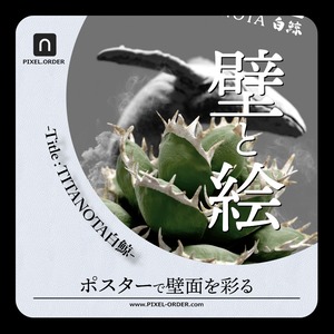 アガベ ポスター【 TITANOTA -白鯨- 】GRAY A3