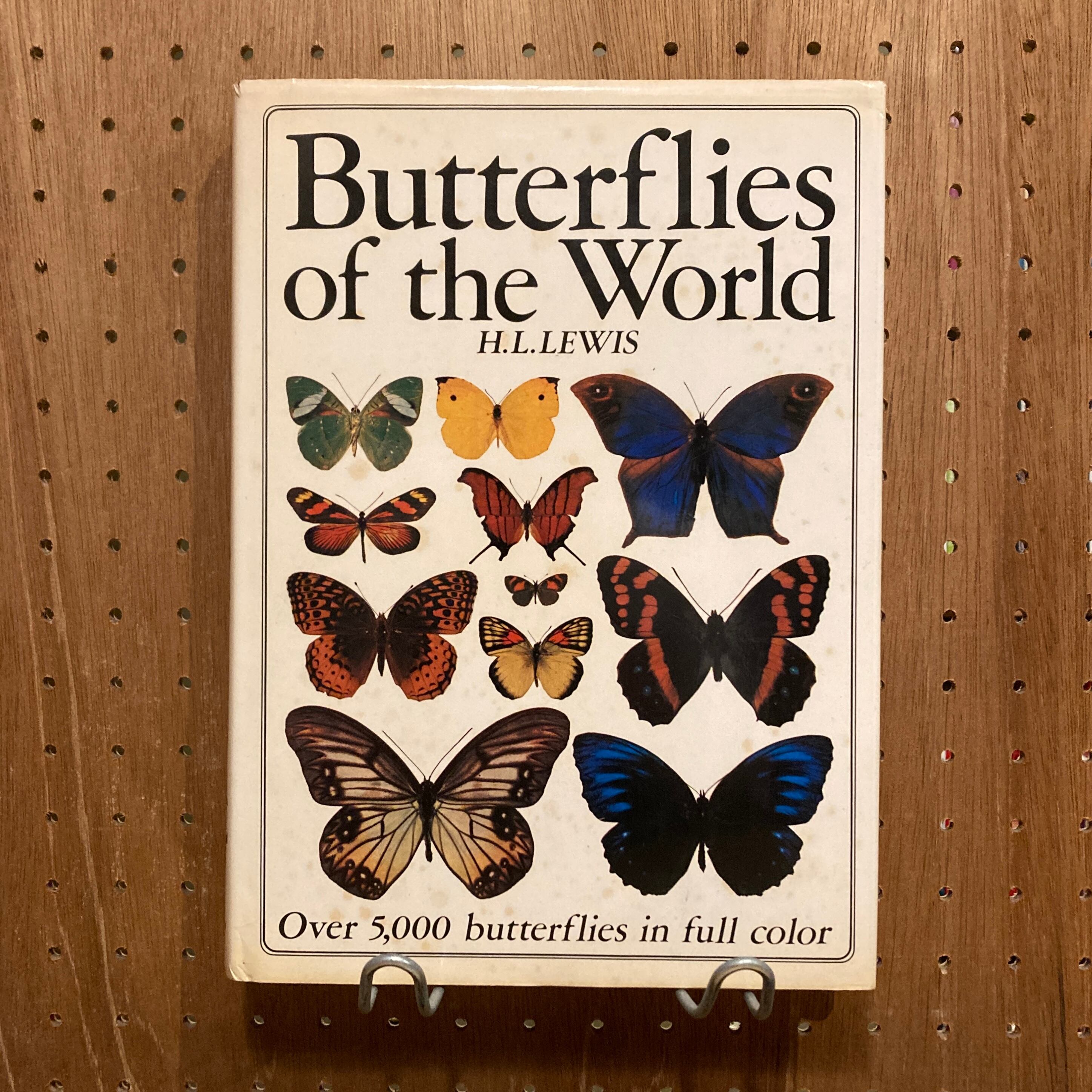 one hundred butterflies  写真集　100の蝶 Amazon.com: One Hundred Butterflies: 9780316033633: Feinstein
