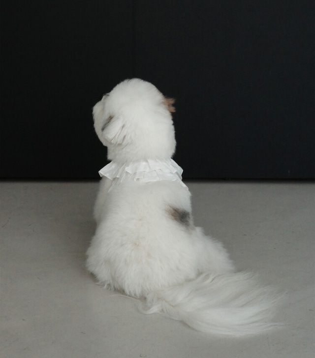 〈予約アイテム〉OHDIBS / capeness no.18 White
