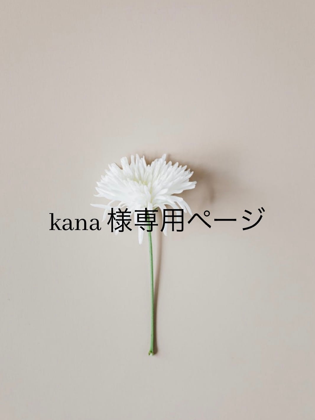 kana様専用 KANA様 専用 kana様 専用ページ｜Yahoo!フリマ（旧PayPay かな