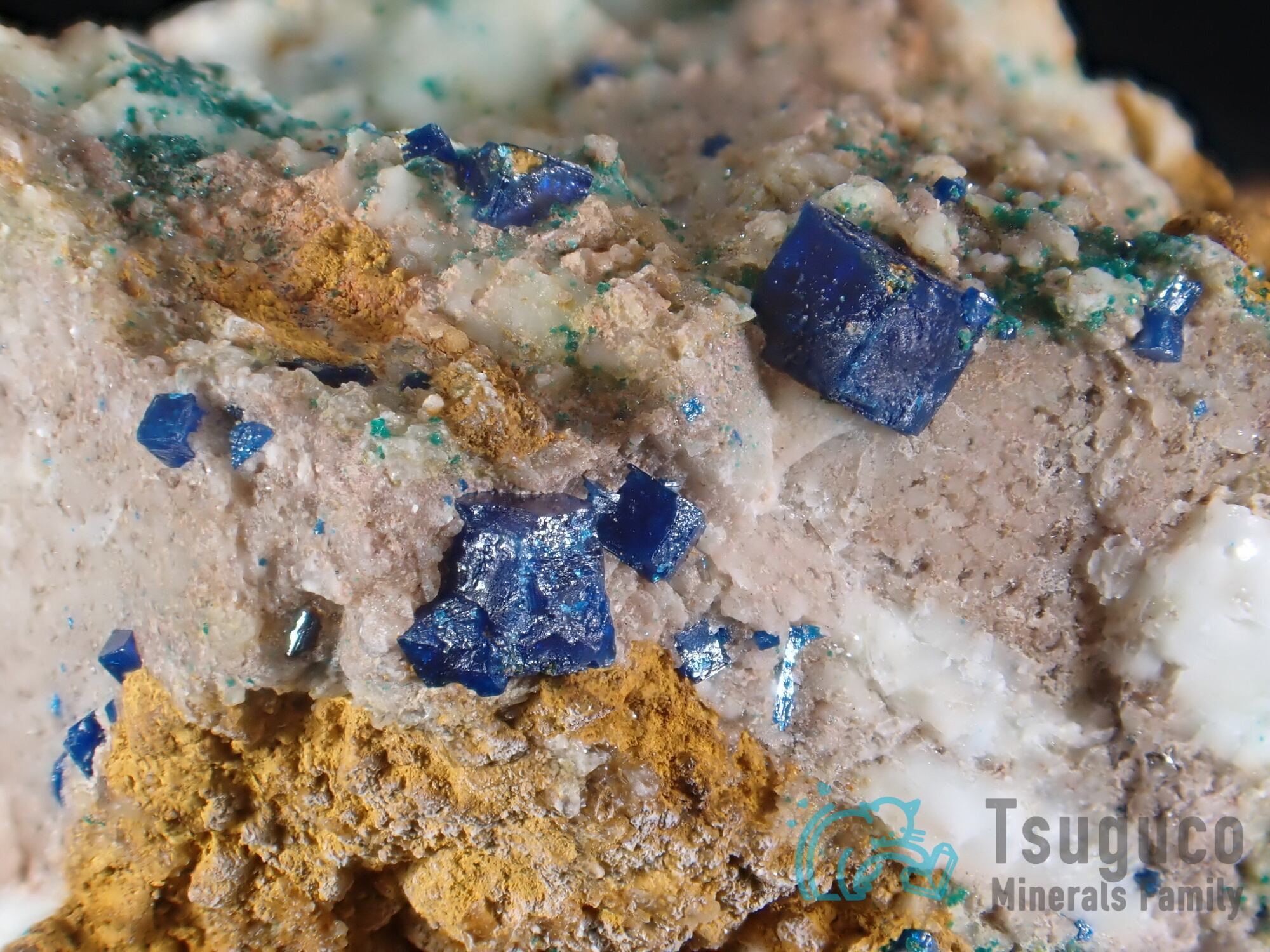 ボレアイト ボレオ石 メキシコ 原産地標本 TM-701 | つぐこみねらるず