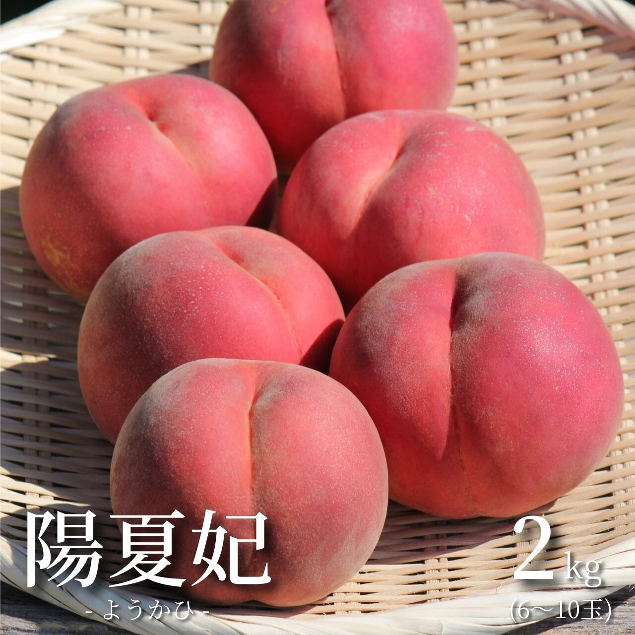 ☆秋田さま専用☆ 令和7年2月24日開催！！『あきた無形民俗文化財万博2025