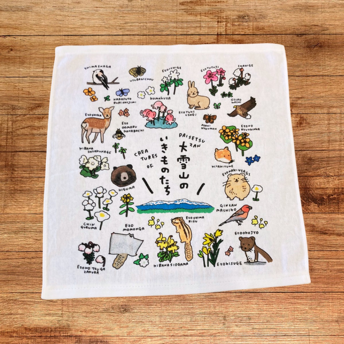 9c54653607d0340c8623d80abc1a56