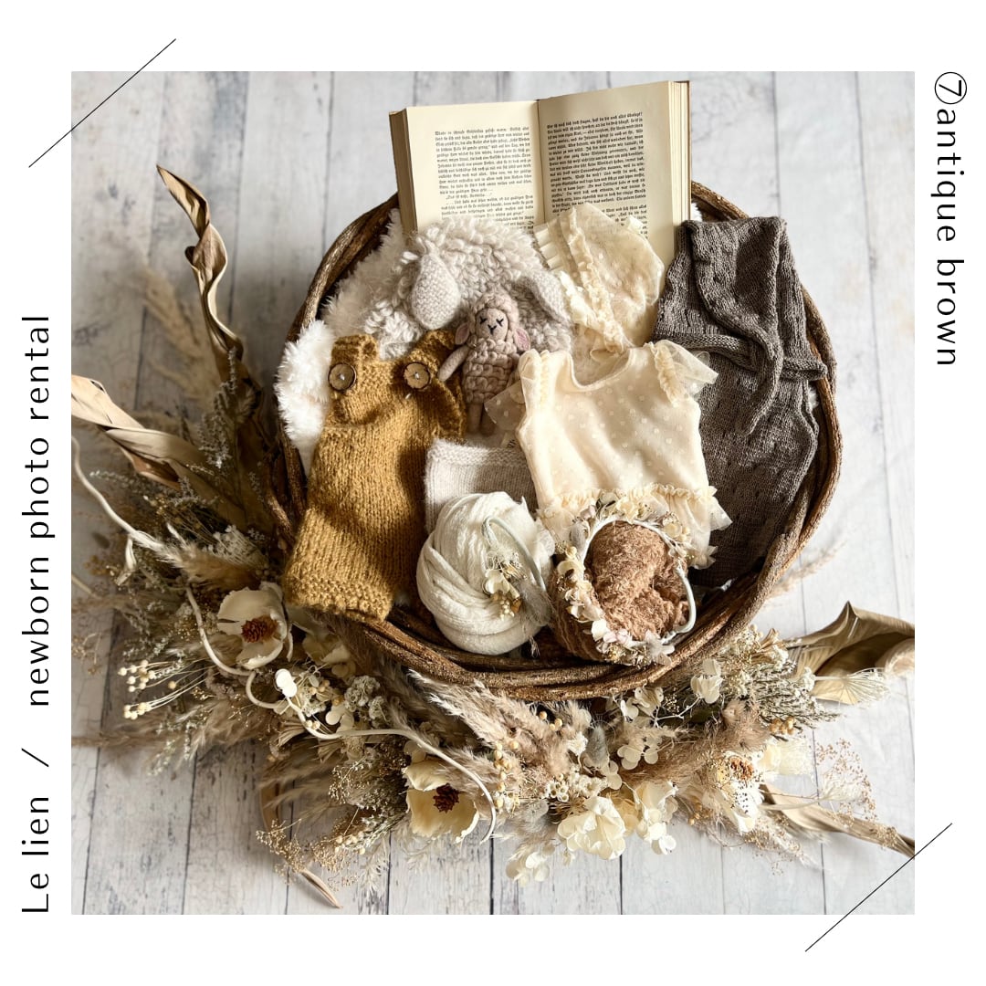 ポポラスベリーとスモークツリーのハーフリース* * ラッピング無料 壁掛け 秋 ポポラスベリーとスモークツリーのハーフリース* * ラッピング無料