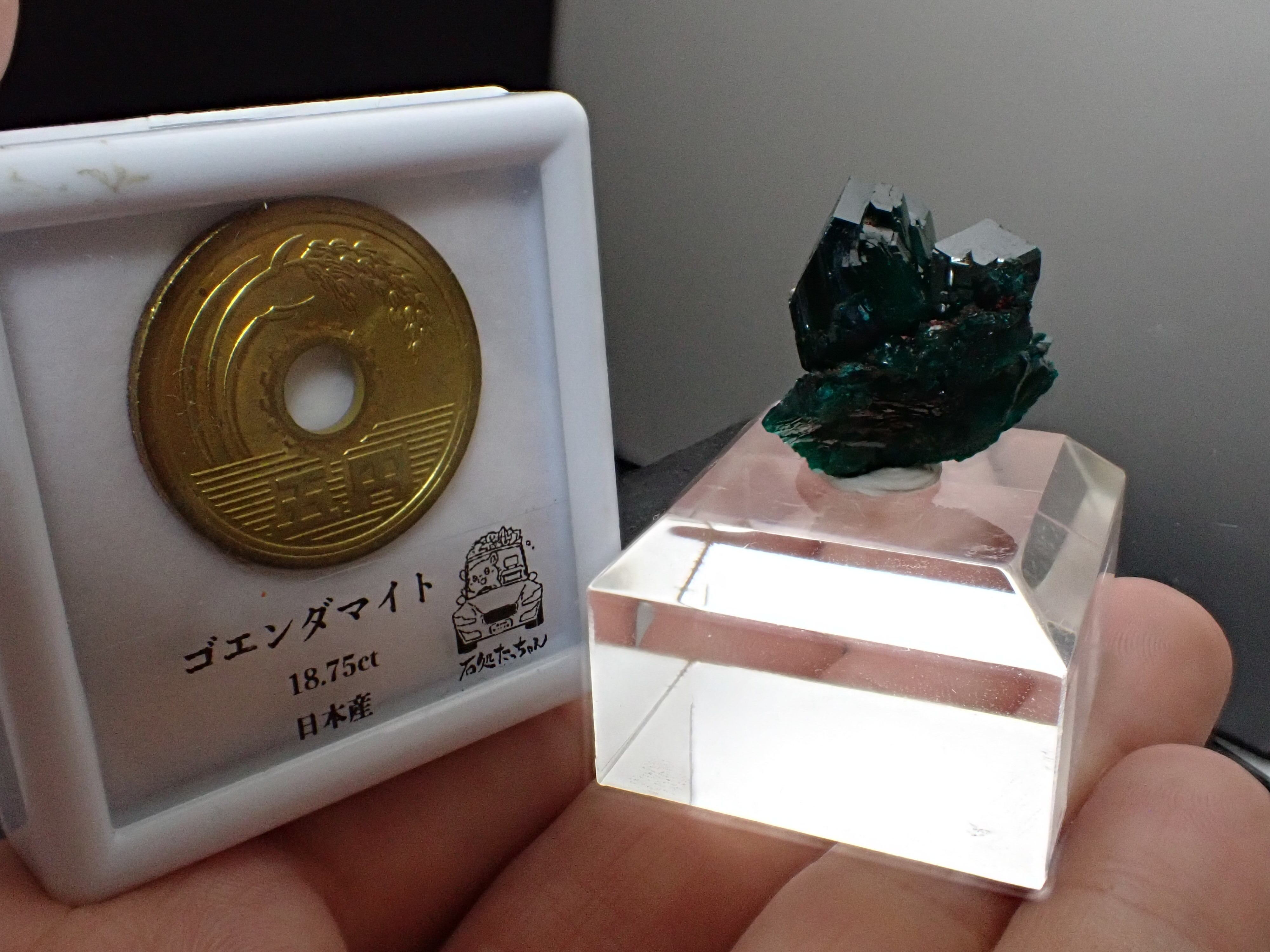 大きな結晶】ダイオプテーズ 翠銅鉱 原石 標本 | 石処たっちゃん