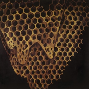 【CD】Telefon Tel Aviv - Map Of What Is Effortless（PLANCHA）