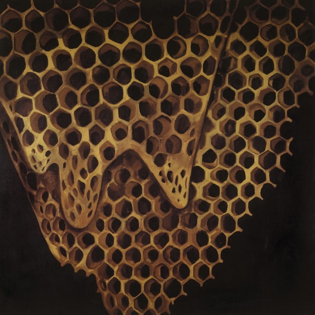 【CD】Telefon Tel Aviv - Map Of What Is Effortless(PLANCHA)