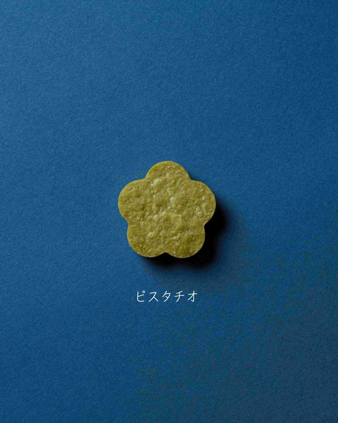 渚セット サブレ(4種) | 積奏バターサンド