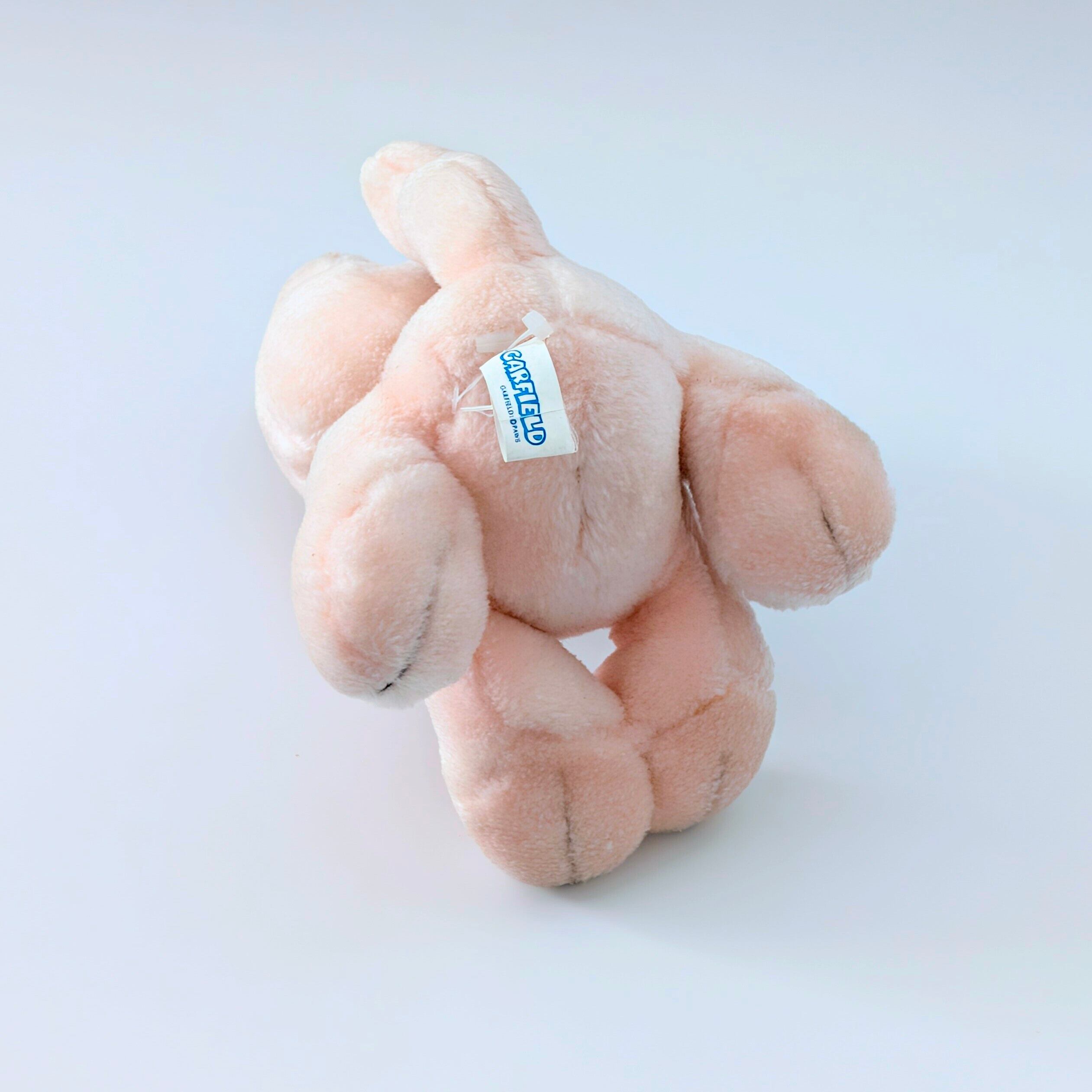 ☆ VINTAGE 1996 ☆【 Garfield ( ガーフィールド ) 】『 アーリーン（Arlene）』ぬいぐるみ / プラッシュ / plush / 1996年代年製 〚アメリカン雑貨 アメトイ〛