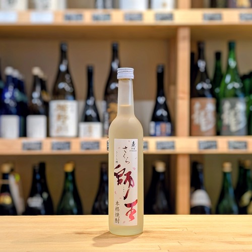 寿海 さくら師王 500ml【麦焼酎】