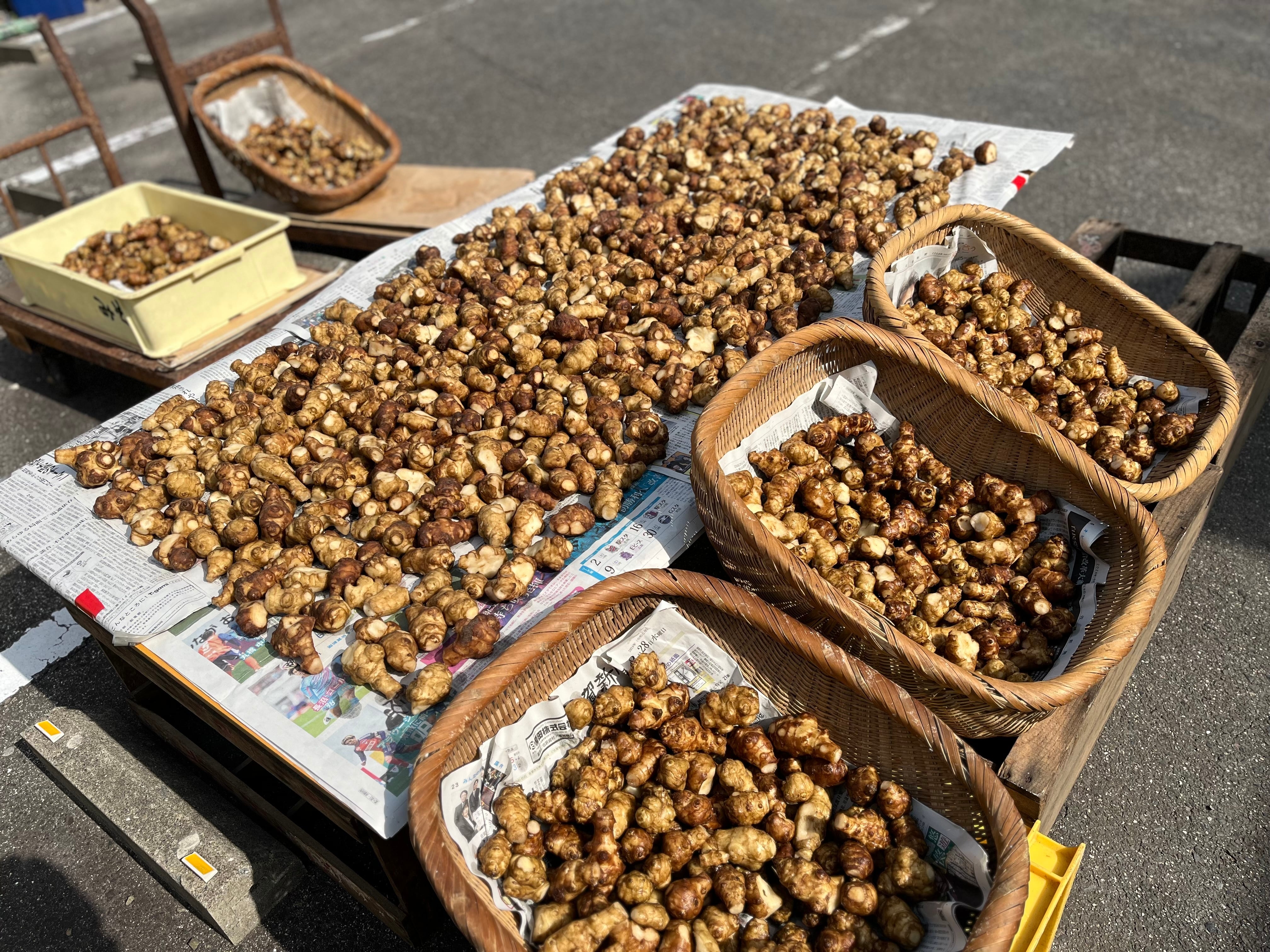 菊芋酒粕漬け（450g） | 北島味噌醤油店