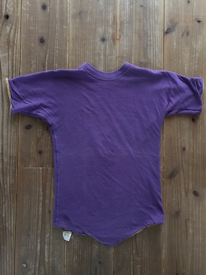 60's　RUSSELL LIONS WATERLOO リバーシブルTシャツ ダブルフェイス 実寸(S-M)　