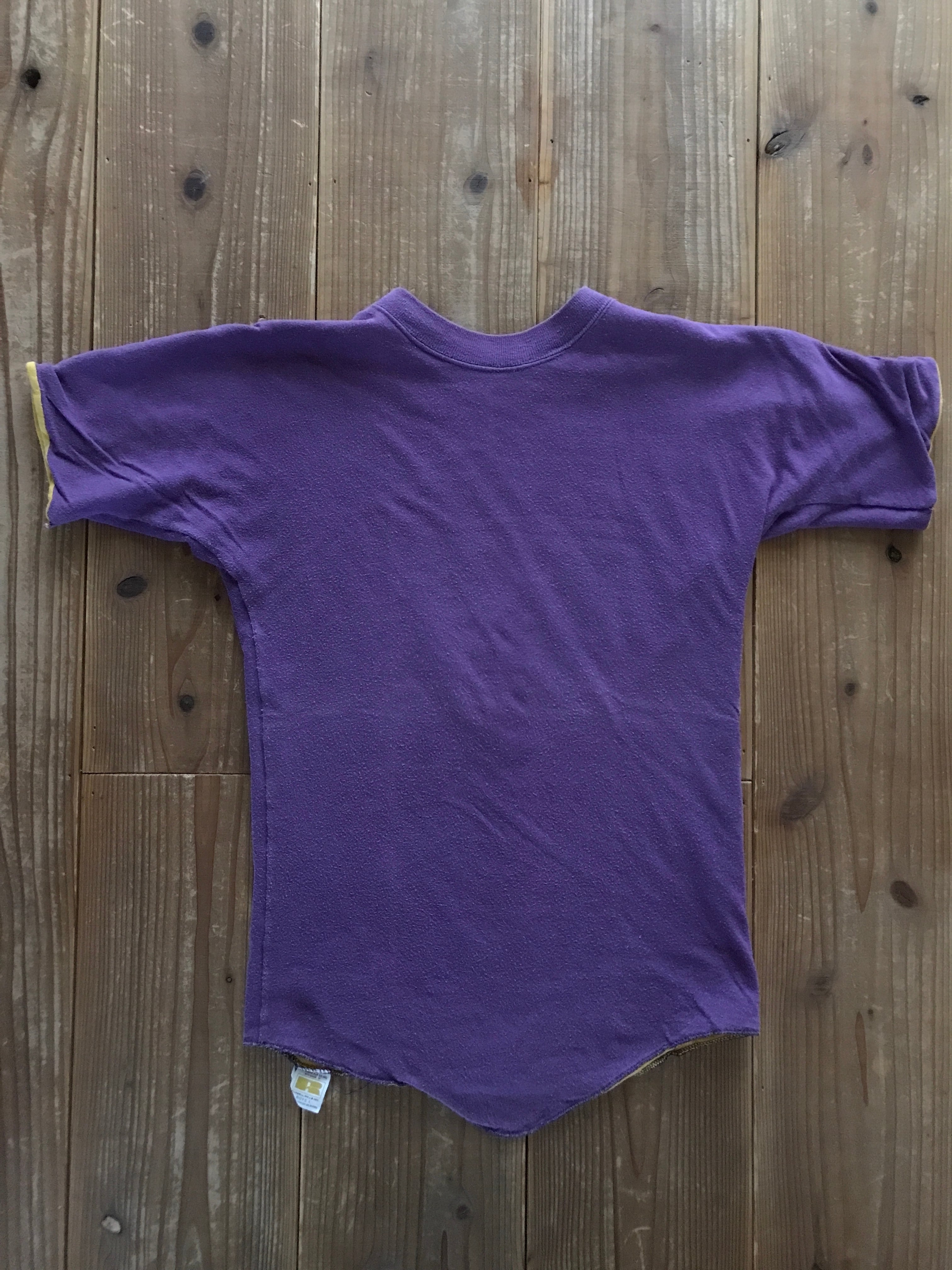 60's　RUSSELL LIONS WATERLOO リバーシブルTシャツ ダブルフェイス 実寸(S-M)　