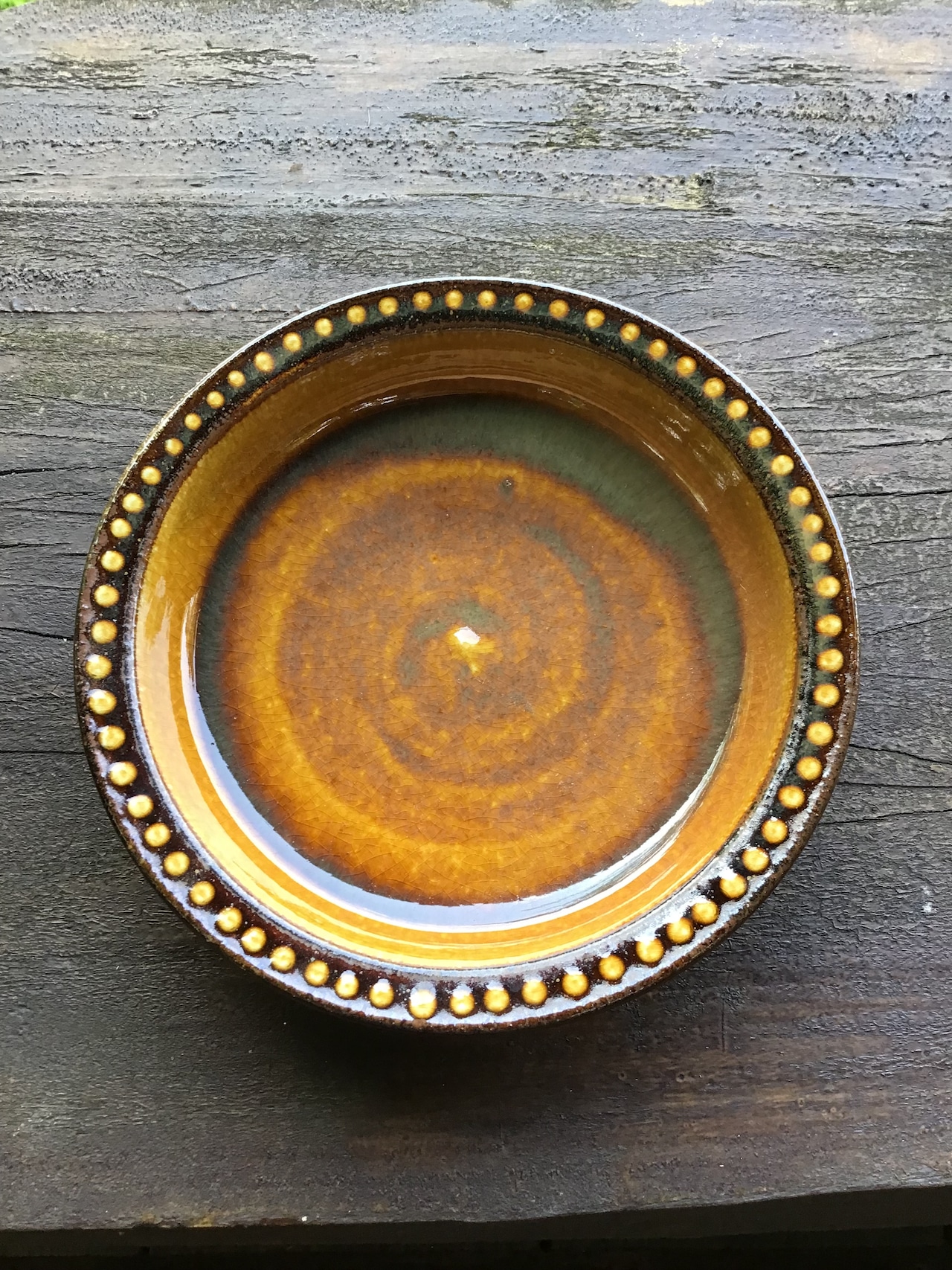 小代焼ふもと窯 六寸浅鉢 点打 飴