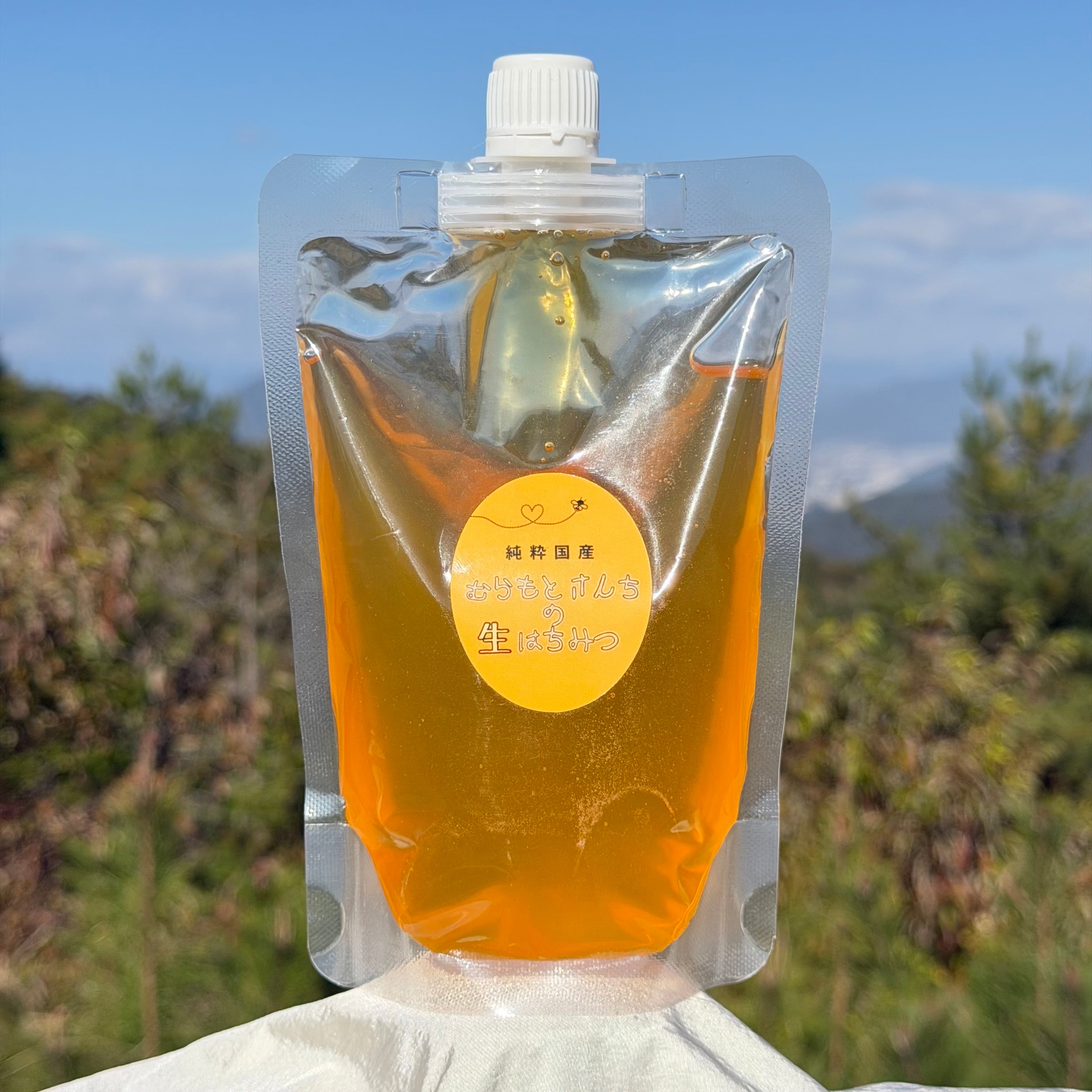 むらもとさんちの生はちみつ 200g 非加熱 無添加 天然 国産 蜂蜜 | Pay ID