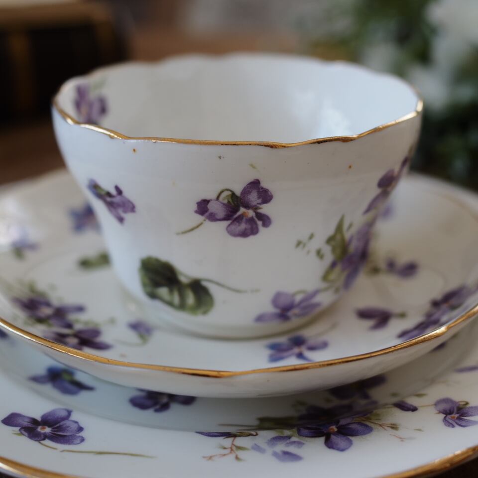 B_Hammersley Victorian Violets｜ハマースレイ ヴィクトリアン