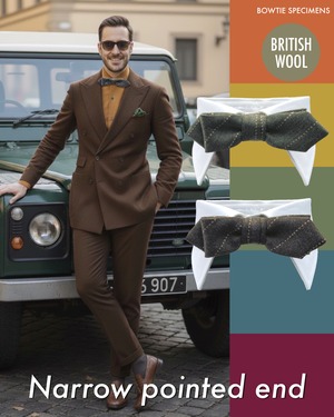 蝶ネクタイ カジュアル ナロー・ポインテッドエンド (ダークオリーブ＆ブラウン/ストライプ) 作り結び型