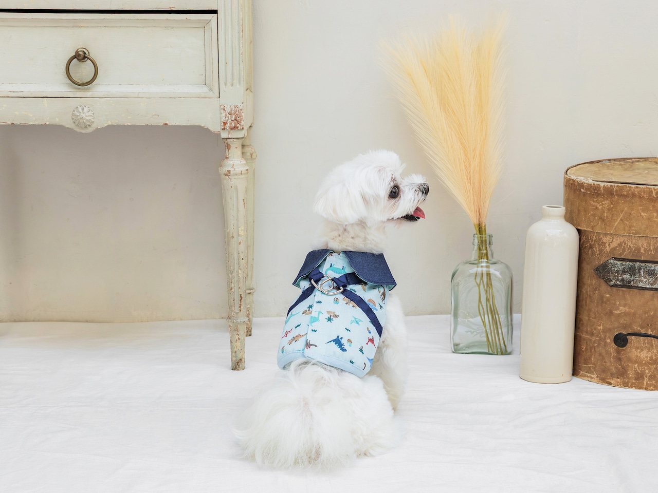 きょうりゅうハーネス