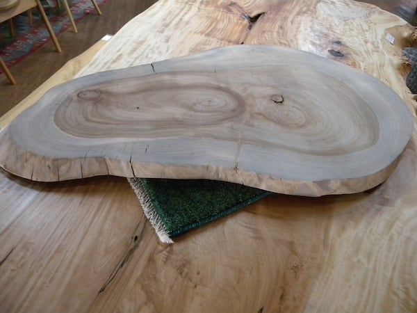 楠（クスノキ）輪切り・センターテーブル・花台・敷台 KW-2 | 一枚板