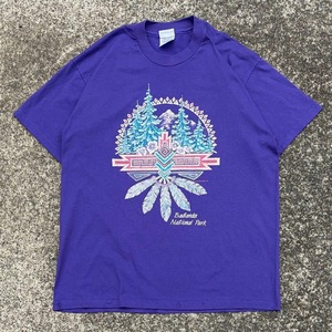 【Lサイズ】1993's 米国サウスダコタ州にある国立公園 袖 裾シングル 古着 Tシャツ　Hanes