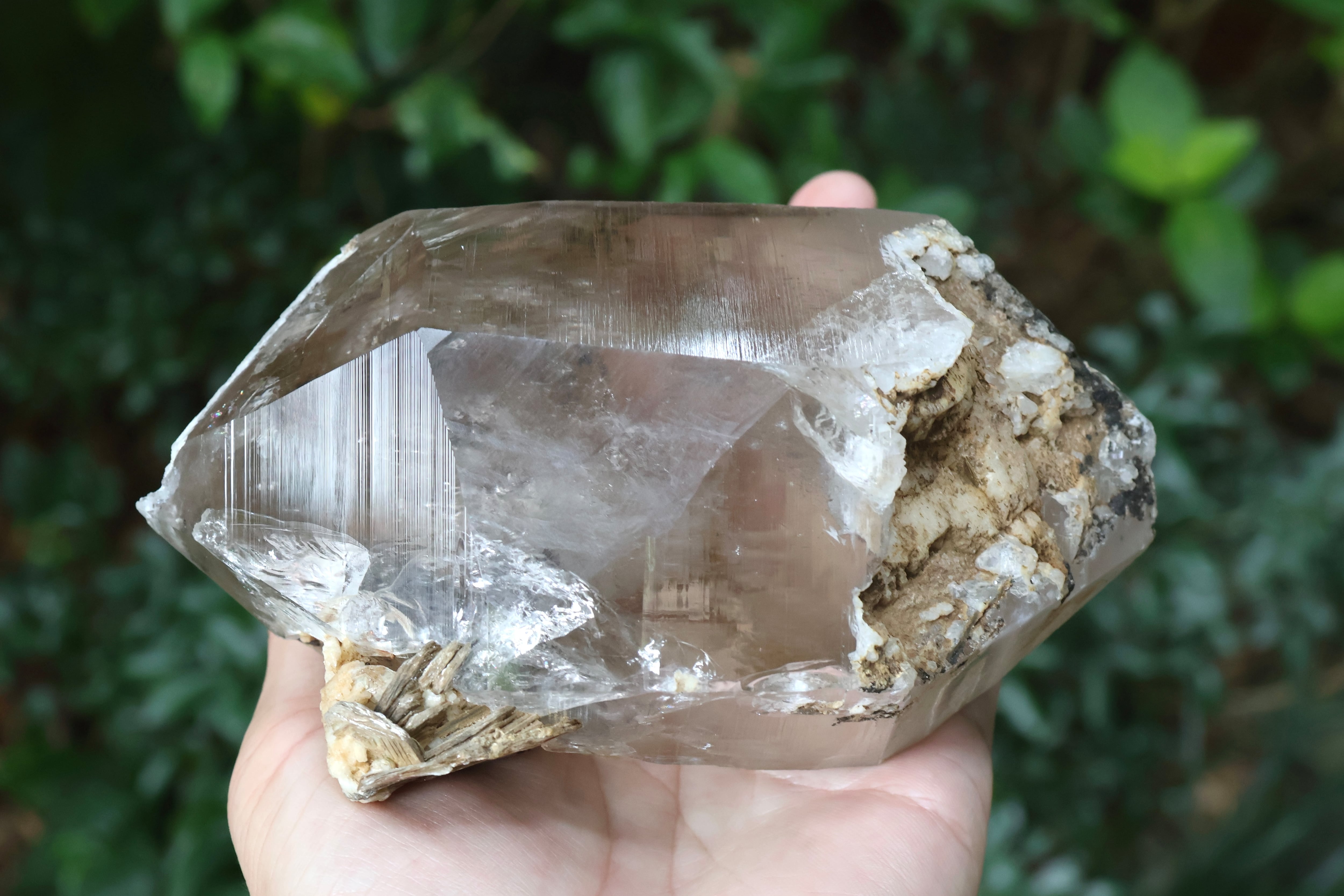 ヒマラヤ水晶 タプレジュン産 虹入り DT | 石垣島の夜光貝アクセサリー
