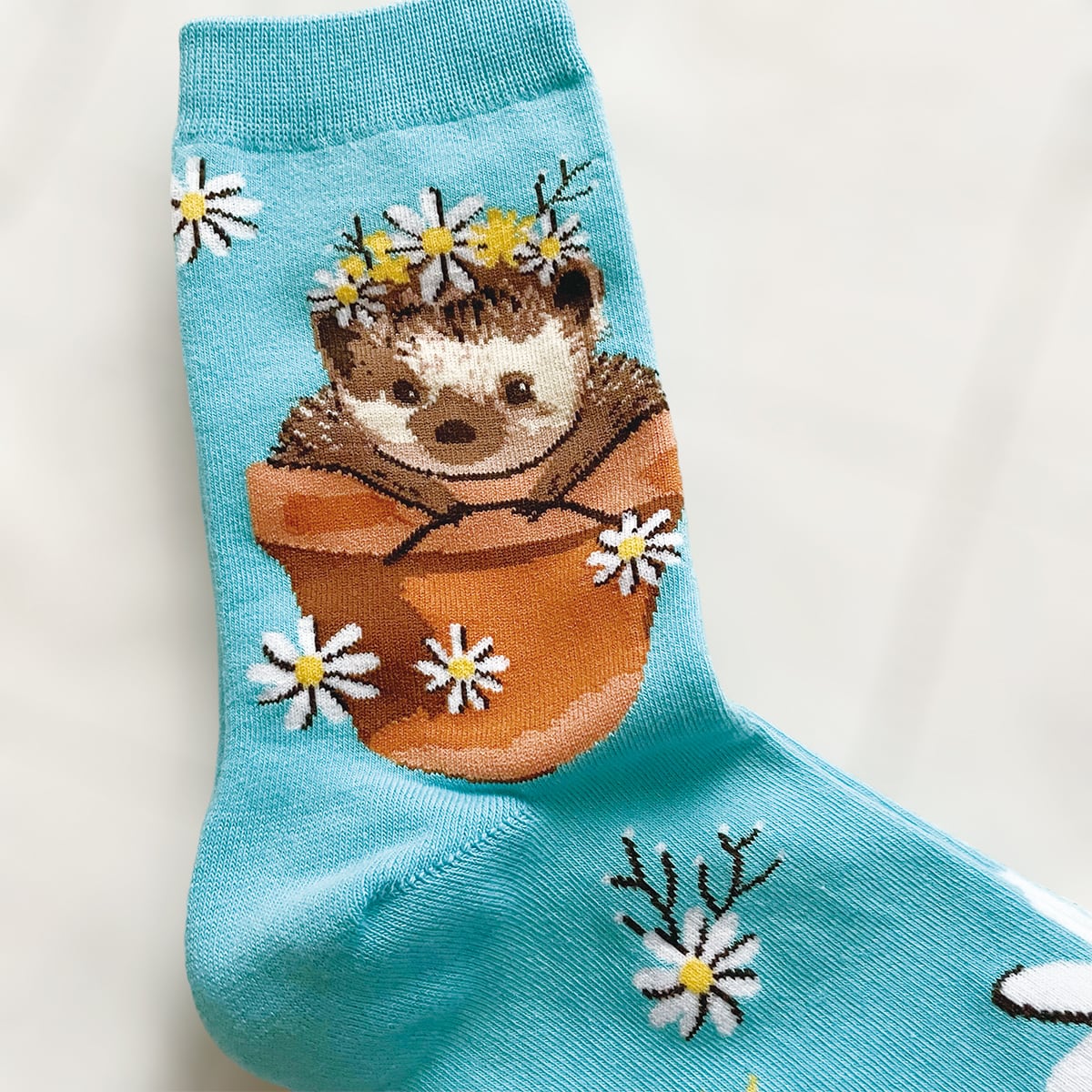 Sock it to me】愛しのハリネズミ ソックス | aruiteru | 歩いてる