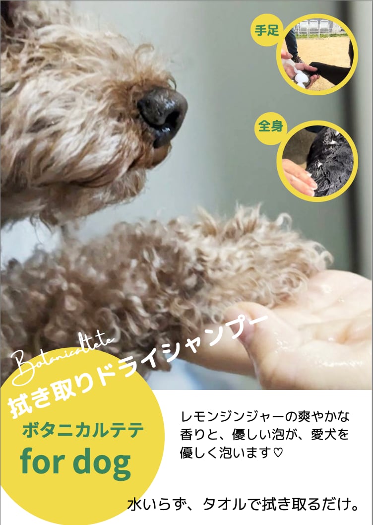 犬用ドライシャンプー　Botanicaltete DRY SHAMPOO for dog　詰め替え400ml