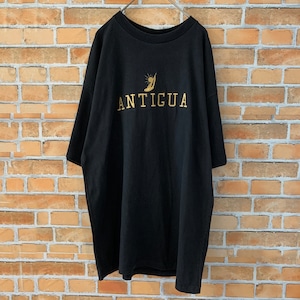 【ANTIGUA】90s ヴィンテージ 刺繍ロゴ Tシャツ XL アメリカ古着