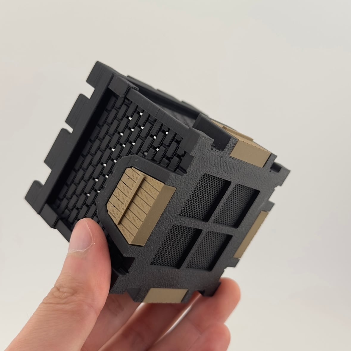 発根済　鉢入り 発根済 多頭 グラキリス 21 ×【 盆 - bon - 