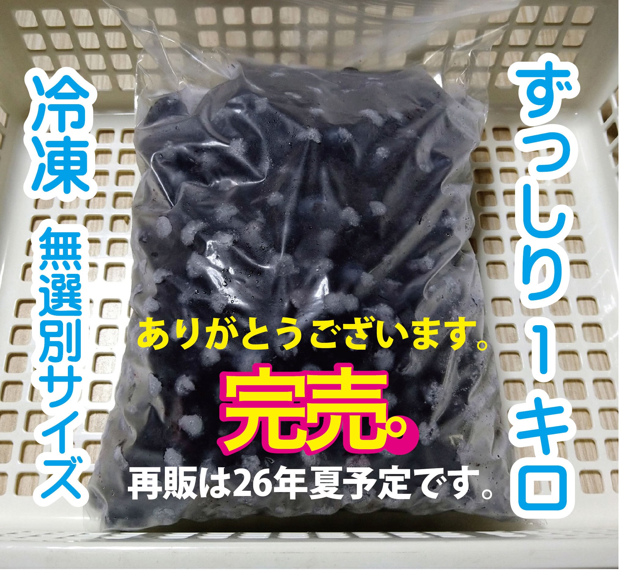 まもなく完売！　冷凍ブルーベリー 4kg 冷凍ブルーベリー 無農薬 4kg (200g×20袋) オーガニック ワイルド