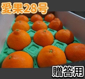 愛果28号(みかん）秀品贈答用