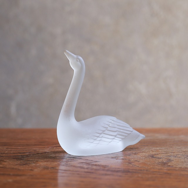 明日を見つめる、ガラスの可憐な白鳥