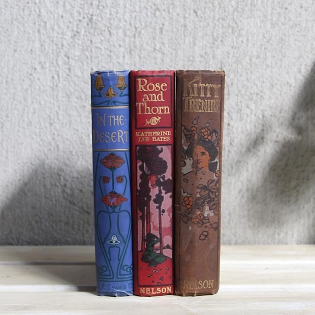 イギリス アンティークブック3冊セット/古い洋書『送料無料』CA-039 イギリス アンティークブック 古い洋書 3冊セット ディスプレイ