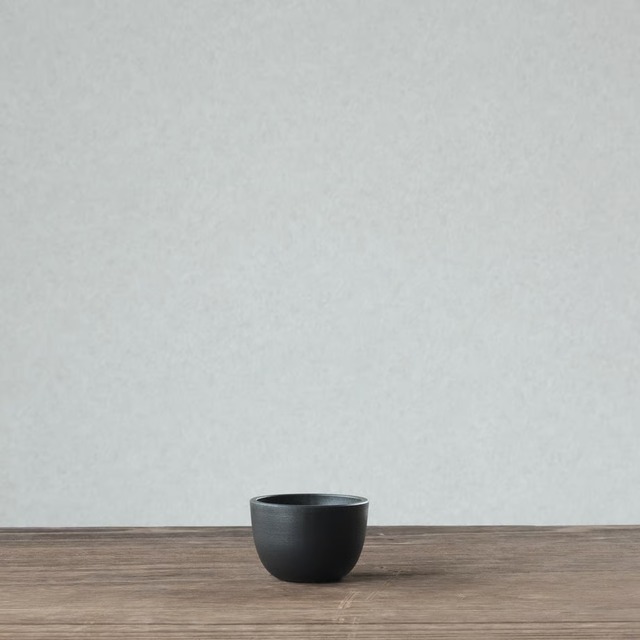 Maceta PlasticPot BowlMid Size2