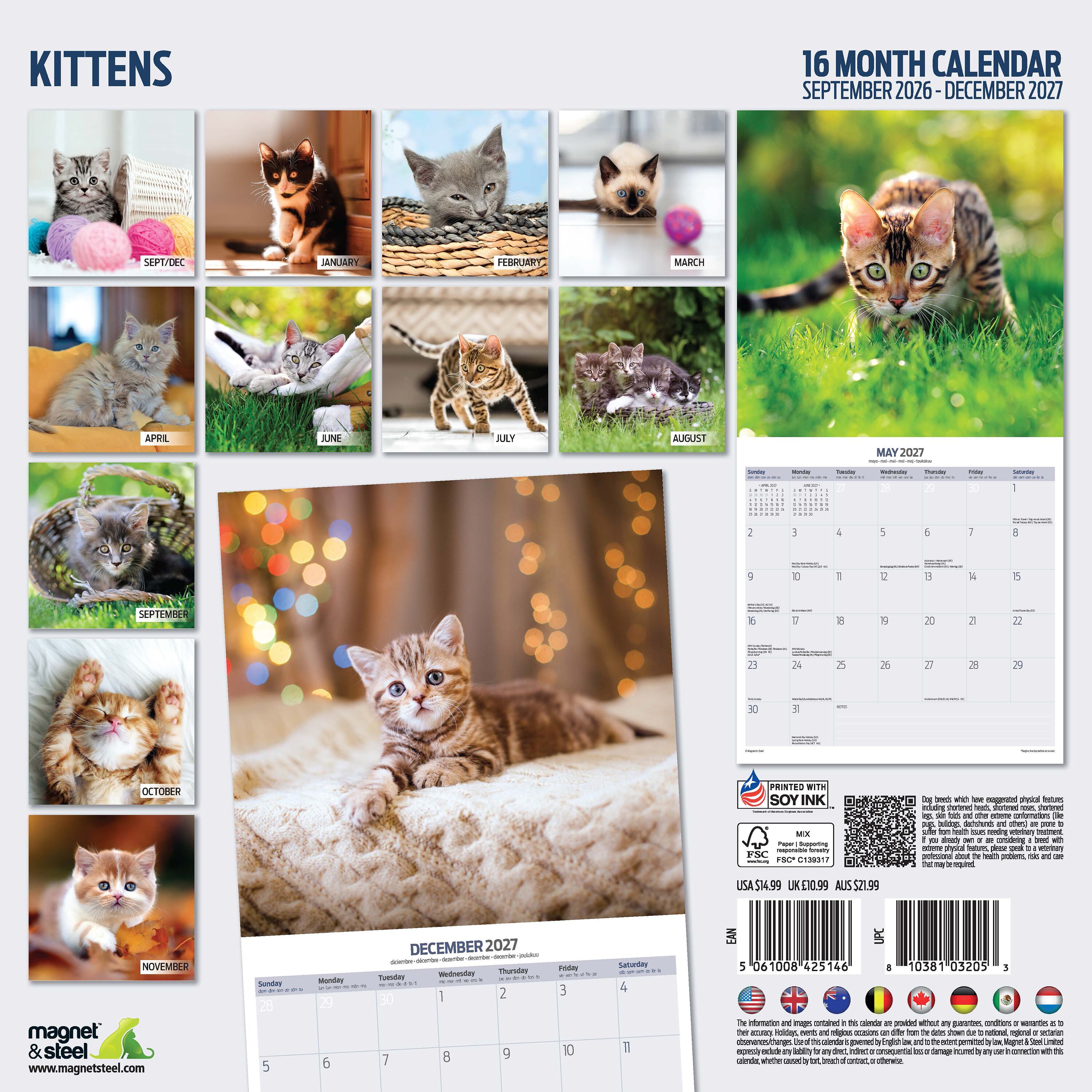 【2027年版】英国製カレンダー【Kittens】 2027年版