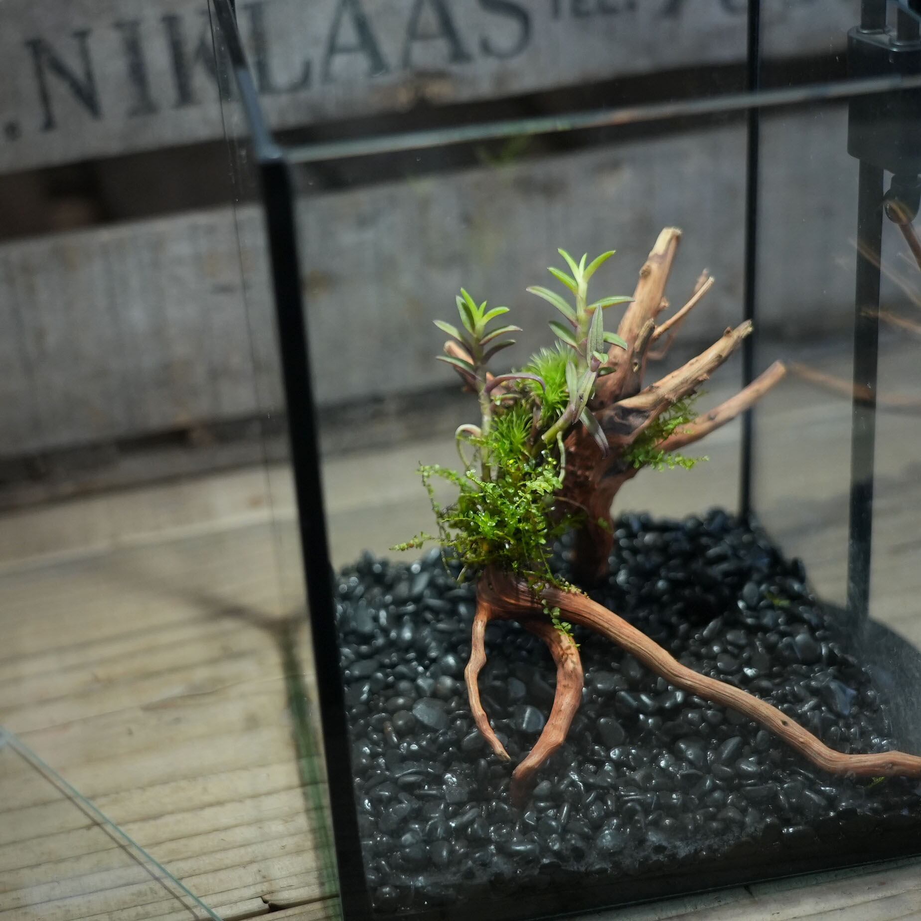 Ky0hxw331emt M Ky0hxw331emt M