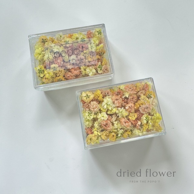 かすみ草　薄イエロー×オレンジmix