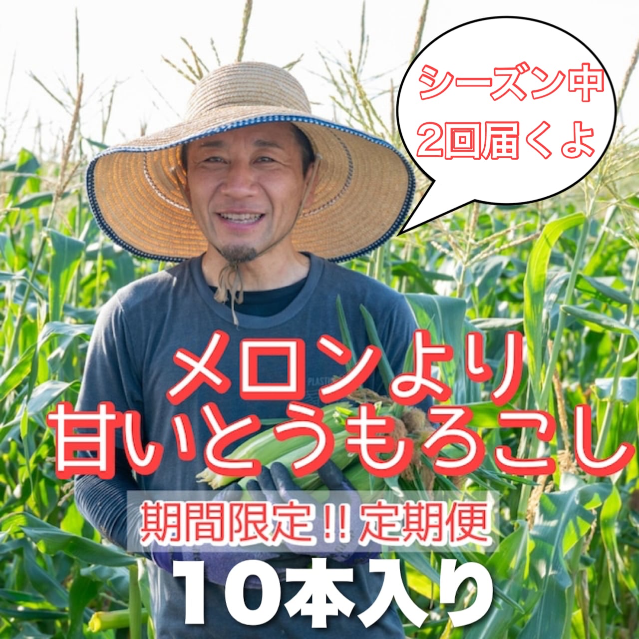 武ちゃん農場（愛知県） | vegetaiment ベジ通販 ベジキッズ