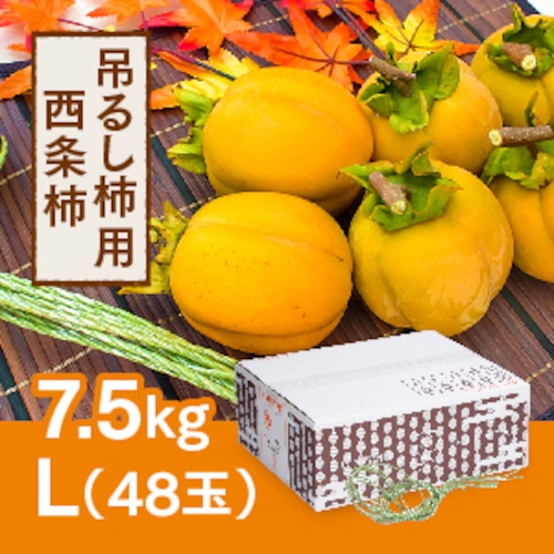 吊るし柿用西条柿 L 48玉（7.5ｋｇ） 吊るし紐付【2023年11月以降発送開始】