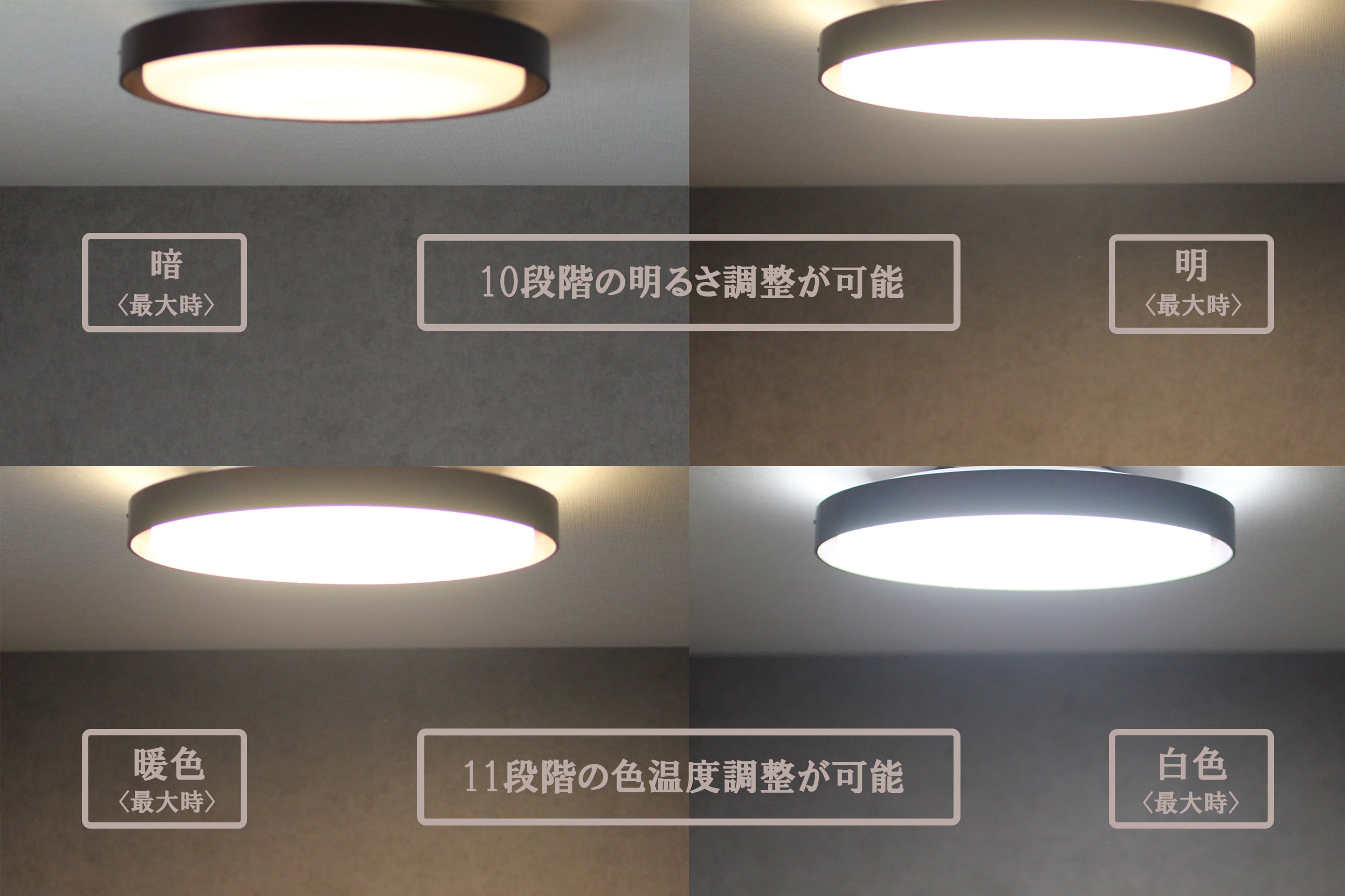 No.8 アルクトゥルスシーライト No.8 アルクトゥルスシーライト