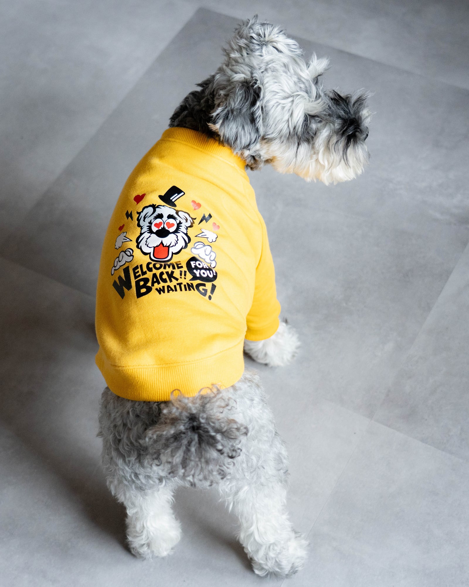 犬服 | Inunobacca