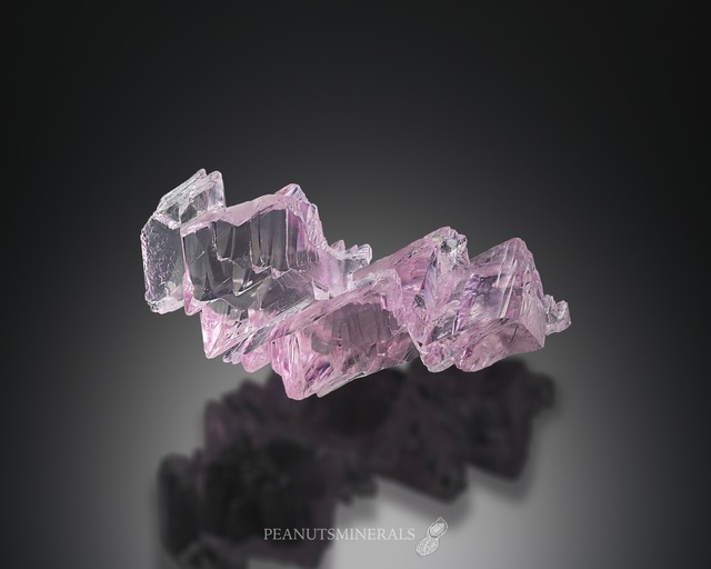 クンツァイト / クォーツ / ポルサイト【Kunzite with Quartz on Pollucite】アフガニスタン産