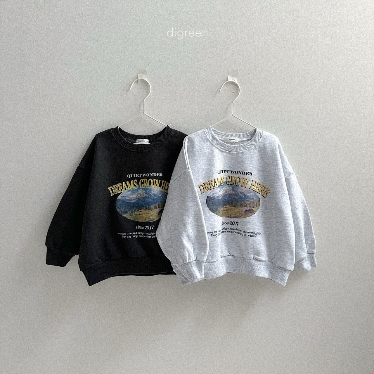 80-130 / digreen. dream mtm〔ドリームスウェット〕