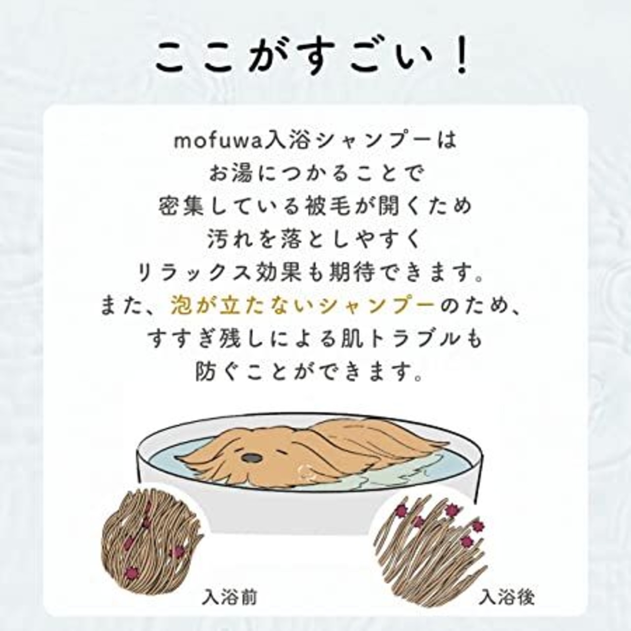 【つかるだけ！入浴シャンプー】シャワーが苦手な猫ちゃんやシャンプーで負担をかけたくないシニア猫ちゃんにも！