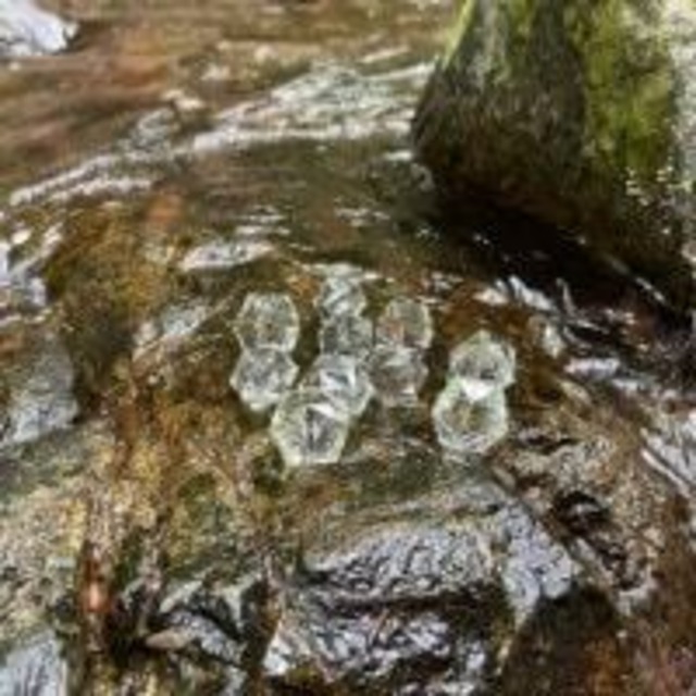 【特別販売】【数量限定】【超美石】日光にある知る人ぞ知る　最強パワスポ☆瀧尾神社でアチューメント　スターカット　水晶（ポーチつき）