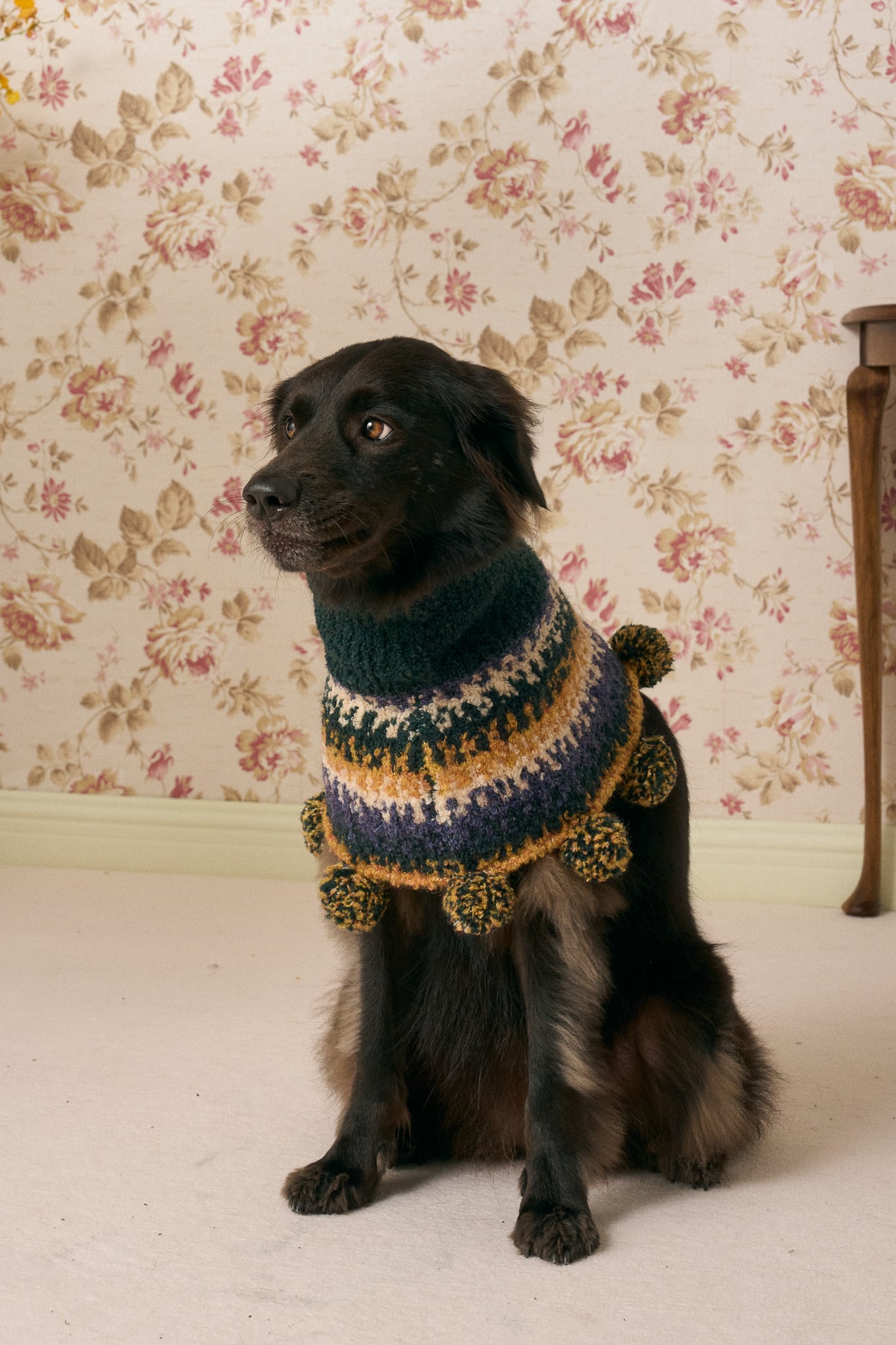 Multi Lab ポンポン付きニットケープ①〖 即納 〗