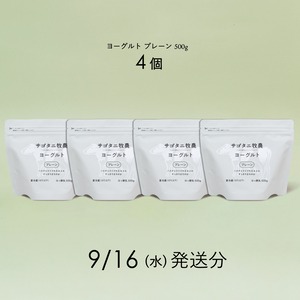 ヨーグルト プレーン 500g4個セット　9月16日（水）発送分